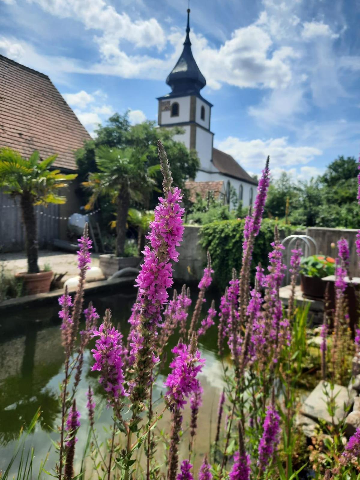 Spatzennest Und Rabennest Sugenheim Exterior photo